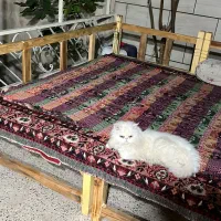 پانسیون حیوانات