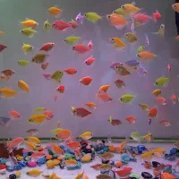 تخفیف ویژه ۴۰ درصدی ماهی