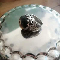 انگشترکهنه باباقوری. درشت