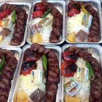 تهیه غذای شمس