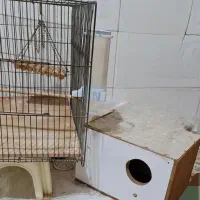 قفس قناری/طوطی برزیلی با آبخوری، تاب،ظرف دونه لانه