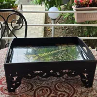سینی پایه دار رزینی