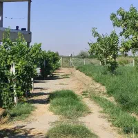 باغچه در روستای حصار حاجیلار (کشتیبان)