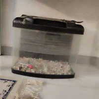 اکواریوم