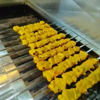 غذا بیرون بر خانگی درنا