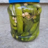 فروش خیار شور