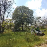 سهام-10متر-تجاری