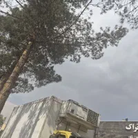 ولو n10|خودرو سنگین|اسلامشهر, ملکآباد|دیوار