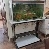 اکواریوم