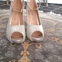 کفش مجلسی