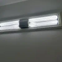 مهتابی۴شاخه سالم وتمیز