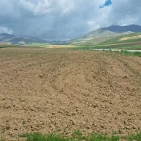 زمین کشاورزی