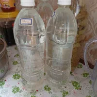 گلاب خالص