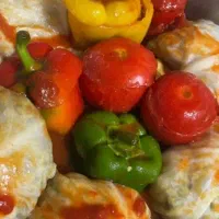 غذای خانگی دلمه وغیره پذیرفته میشود