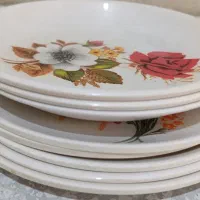 ظروف باغ
