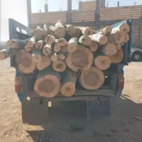 خرید و فروش  انواع چوب سربرداری کف بری حرس کردن