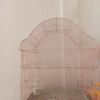 قفسس