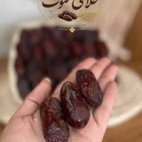 خرمامستقیم از بندرعباس