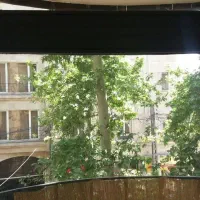 مستقلات-مناسب-مزون-و-هوم-جیم
