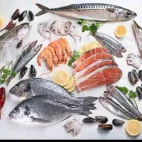 فروش ماهی میگو به قیمت عمده به شرط کیفیت