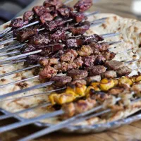 پزنده منقل کار جهت کار در جگری