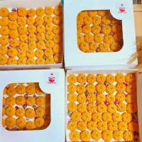 انواع کیک وشیرینی خونگی محشر