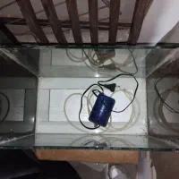 آکواریوم