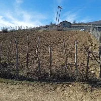 فروش زمین ۷۳۰ متر روستای رجه سوادکوه پل سفید