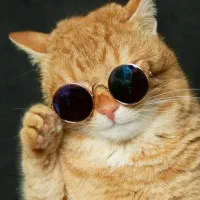 چنل روبیکا یک نیم کا