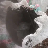 ذغال کبابی بسیارمرغوب باچوب جنگلی