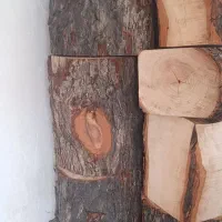 تخته چوب|لوازم جانبی حیوانات|گنبد کاووس, |دیوار