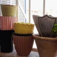 گلدون همه ۲۵۰