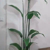 درختچه مصنوعی نو