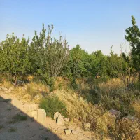 زمین-چهاردیوار