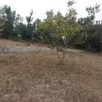 ۲۵۰ متر زمین مسکونی در  روستای توریستی گنبک