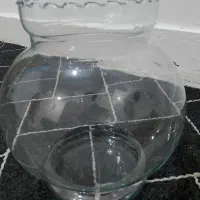 تنگ ماهی،تخم مرغ،سکه