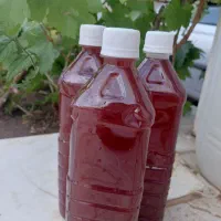 سرکه انگور 3ساله