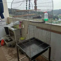 قفس پرنده