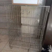 قفس کاسکویی عروس هلندی