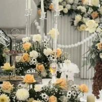 تالار و تشریفات آتنا