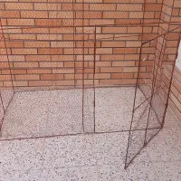 قفس