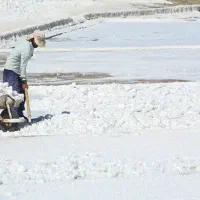 نمک چشمه