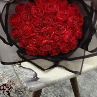 گل زیبا به رنگ قرمز