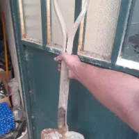 بیل آمریکایی