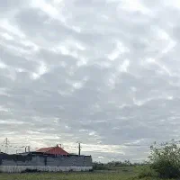 فروش زمین ۵۸۰ متر جاده لولمان به لشت نشا ، طارم سر
