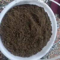 مغز  خردشده ونوشک