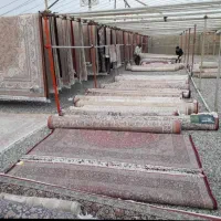 کلینیک قالیشویی فوق تخصصی دکتر باقری