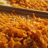 برگه زردآلو اردوباد