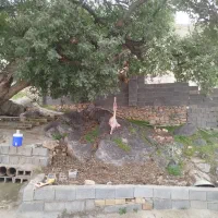 قصاب و کله پاک کنی با هوا