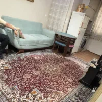 ۴۰ متر  / سی متری جی / کوچه نجفی
